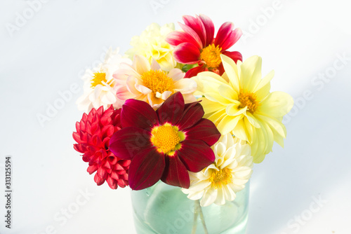 Bouquet of multi-colored dahlia flowers. Blooming summer season