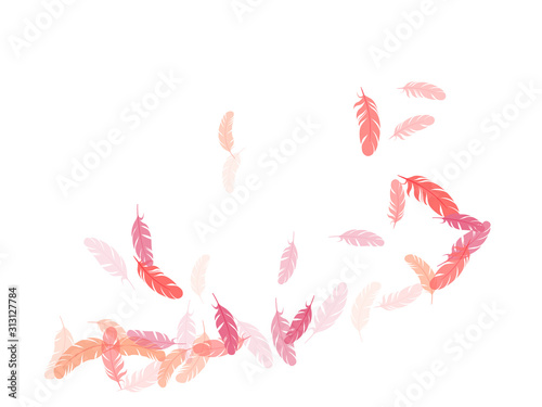 Fluffy twirled feathers on white design.
