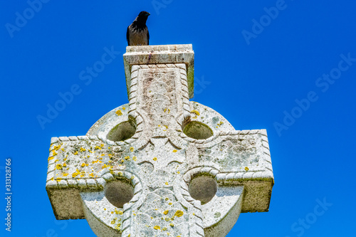 Black bird on old stone celtic cross on a bright clear blue sky background photo