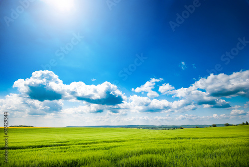 Day natural view at German pastures and cornfields under blue cloudy skies spring time