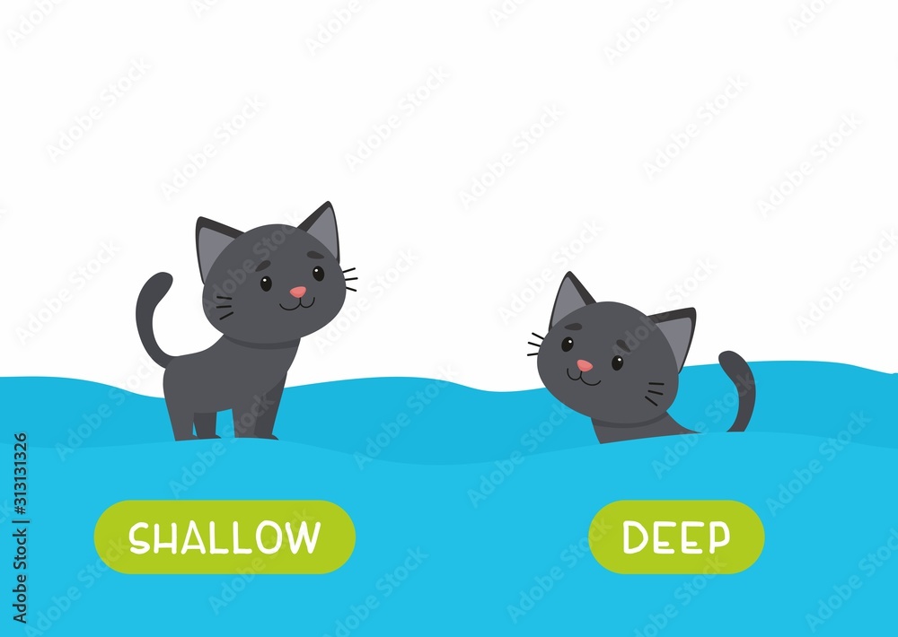 Little black cat swimming cartoon illustration. Educational english flash card with antonyms flat vector template. Childish memo cards for language learning concept. Opposites, deep and shallow words.