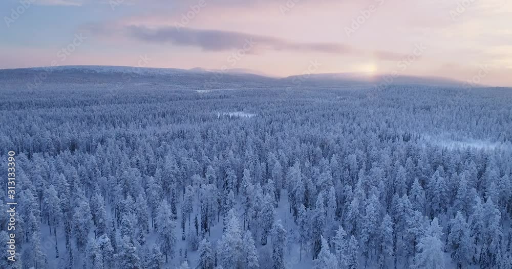 Drone aerial view of a sunrise over vast boreal forest at winter morning with fells in the background in finland. 4K footage