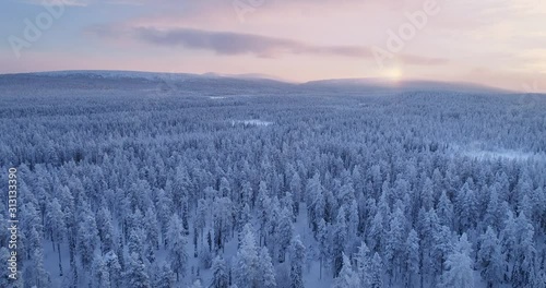 Drone aerial view of a sunrise over vast boreal forest at winter morning with fells in the background in finland. 4K footage photo