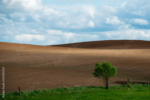 Fototapeta Naklejka Na Ścianę i Meble -  Mazury garbate 19