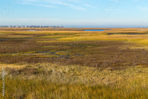 Looking over grassy wetlands at Bay Side of Galveston Island with Housing Area in BG photo