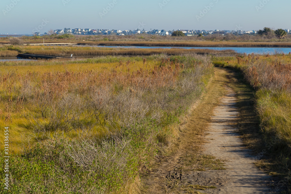 Φωτογραφία Nature Trail in Galveston Island State Park with Wetlands FG and Galveston City