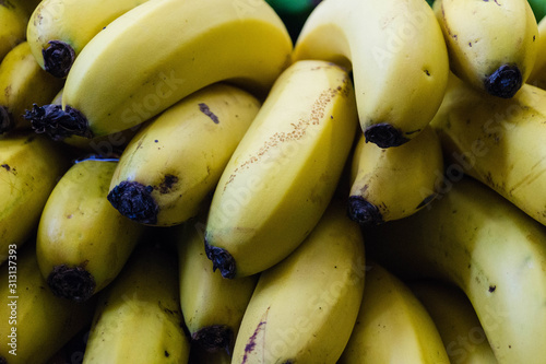 Bananen auf Madeira photo