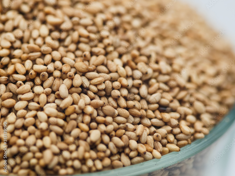 Obraz premium Close up of toasted many sesame seeds
