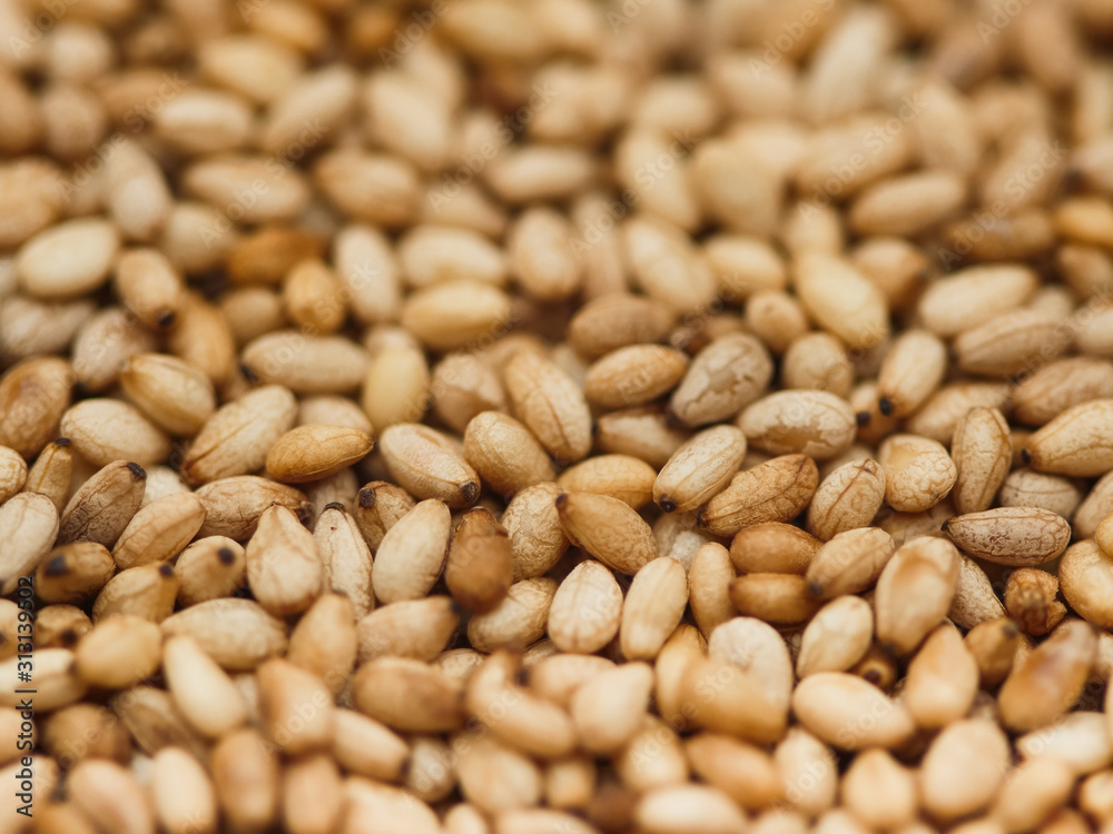 Close up of toasted sesame seeds Close up of toasted sesame seeds