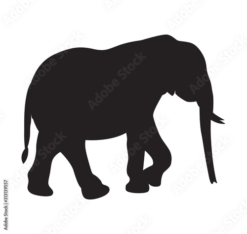 african elephant walking silhouette vector