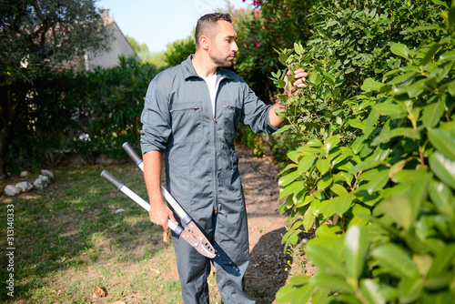 handsome young man gardener trimming hedgerow in a garden park outdoor