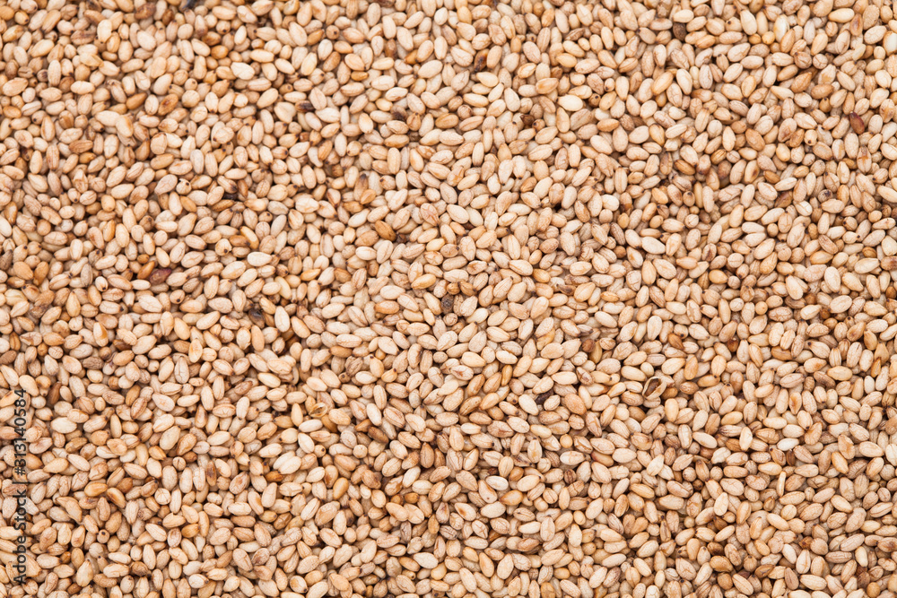 Lots of toasted sesame seeds at top view Lots of toasted sesame seeds at top view