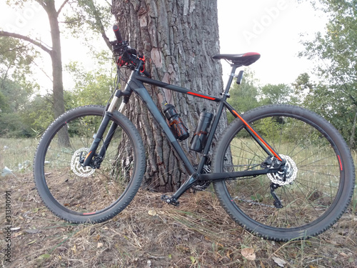 Mountain bike parked next to the trunk in the woods.