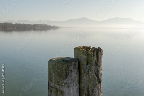 Holzpfähle am Ufer des Chiemsees im Gegenlicht mit Bergblick