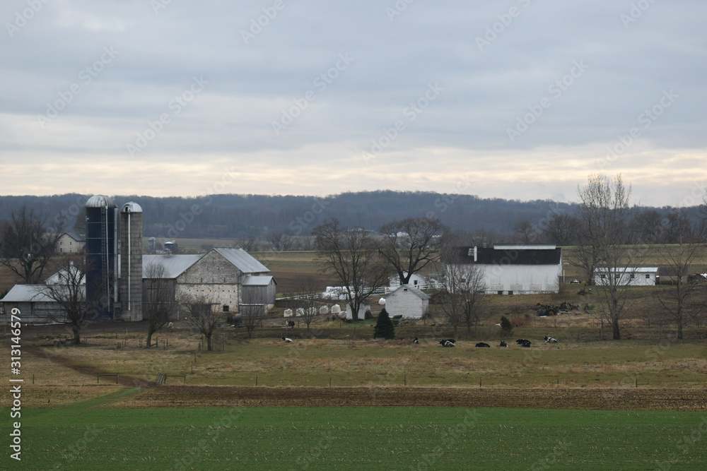 rural landscape