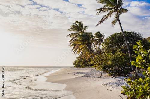 Traumstrand Petit St. Vincent, Grenadines, Karibik photo