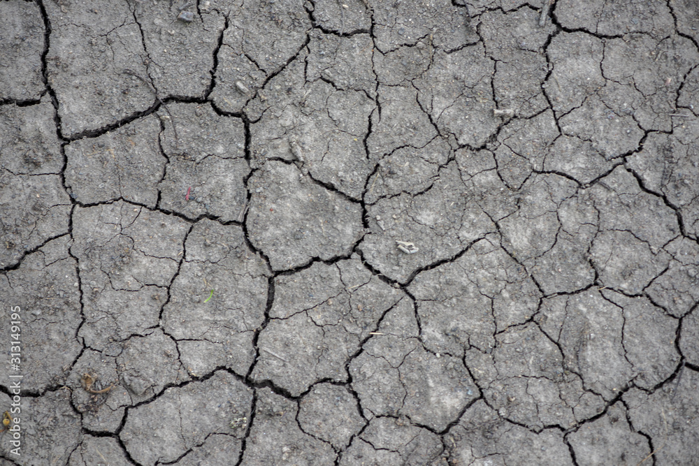 Abstract texture. Dry soil with cracks. Abstract texture. Dry soil with cracks.