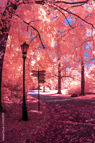 Valokuva Park in Infrared