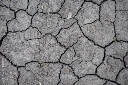 Abstract texture. Dry soil with cracks.
