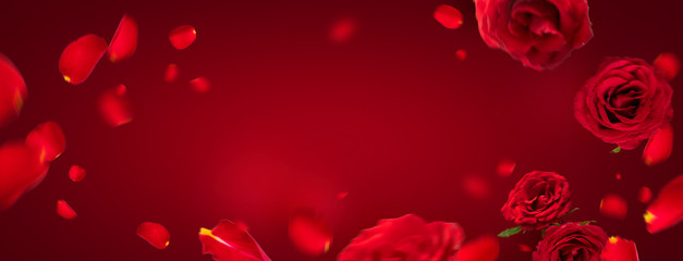 Flying petals and red roses on a red background with copy space. Creative floral levitation in the air nature layout. Spring blossom concept for wedding, women, Mother, 8 March, Valentine's day