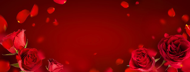 Flying petals and red roses on a red background with copy space. Creative floral levitation in the air nature layout. Spring blossom concept for wedding, women, Mother, 8 March, Valentine's day