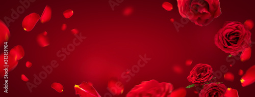 Flying petals and red roses on a red background with copy space. Creative floral levitation in the air nature layout. Spring blossom concept for wedding  women  Mother  8 March  Valentine s day