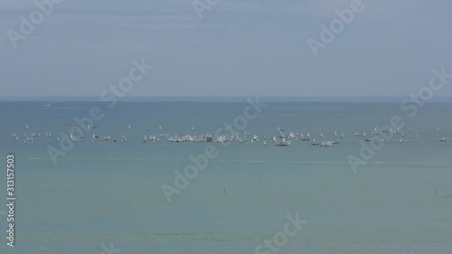 Barche a vela nel mare di Milano Marittima