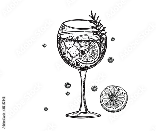 Alcoholic cocktail. Нand drawn illustrations.