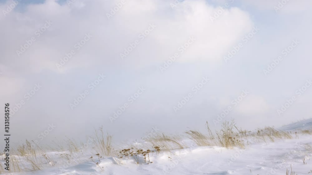 Strong blowing carries loose small ice and bends dry yellowed grass against the clouds sky, ground blizzard without snowfall with drifting snow in the mountains. Strong blowing carries loose small ice and bends dry yellowed grass against the clouds sky, ground blizzard without snowfall with drifting snow in the mountains.