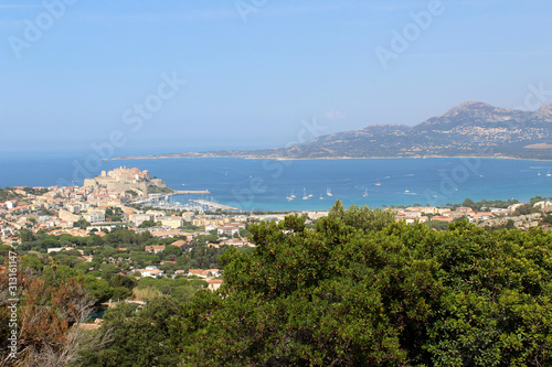 paysage de corse / Calvi  © toutouchien02440