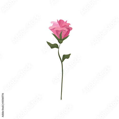 cute flower with branch and leafs isolated icon