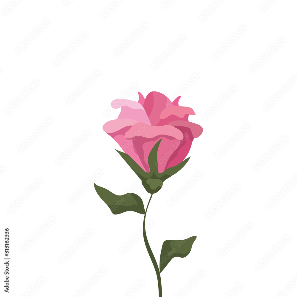 cute flower with branch and leafs isolated icon