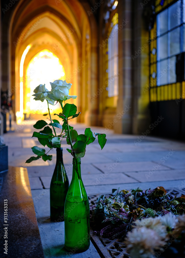 Fotografia do Stock: White Roses in front of sun illuminated gothic windows  inside Campo Santo, a grave building on the west cemetery in Aachen,  Germany, created before 1900, in the Gothic Revival