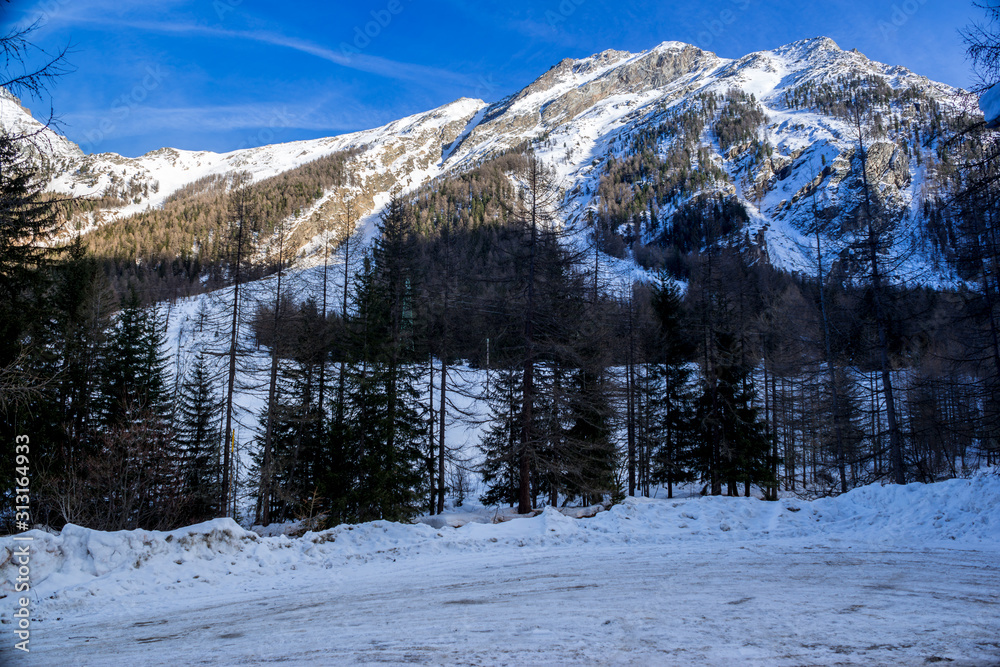alpine panorama, snowy mountains with blue sky