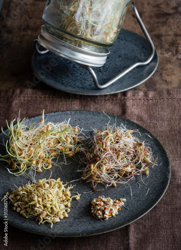Plate with various sprouts photo