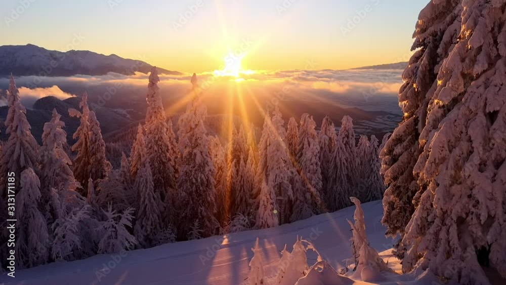 Time lapse with sunset over a mountain landscape in winter season. Pine forest covered in snow after fresh snowfall.  