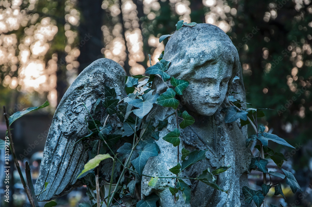 Old angel statue which has become overgrown with ivy (religion, death concept) Old angel statue which has become overgrown with ivy (religion, death concept)