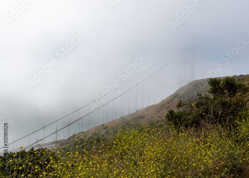 Foggy morning on the Golden Gate featuring mustard flowers on the hill, viewed from Battery Spencer, a Fort Baker site photo