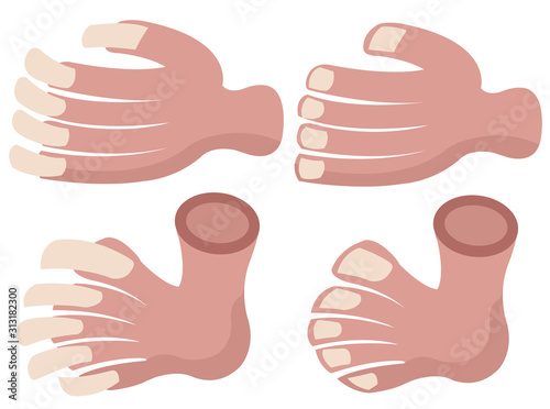 Short Nails Versus Long Nails