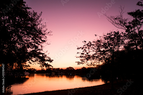 Dry Tree with Twilight sunset time.