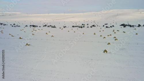 Aerial: Hay bales covered in snow on a ranch in winter time, Montana, USA photo