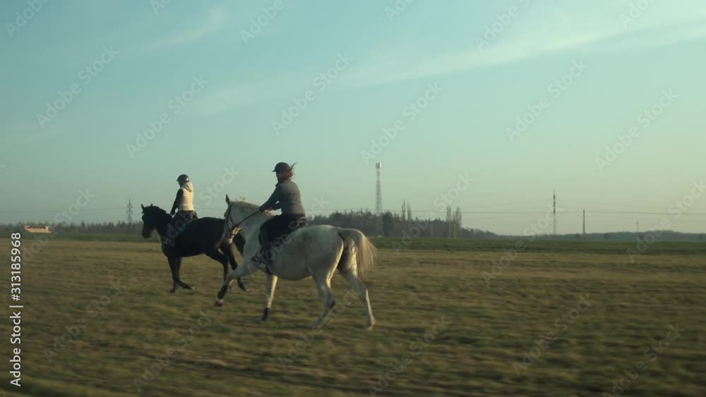 Jockeys race black and white horses across open field, tracking Jockeys race black and white horses across open field, tracking