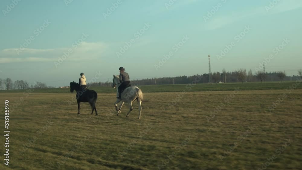 Following two horses with jockeys galloping across field, slow motion Following two horses with jockeys galloping across field, slow motion