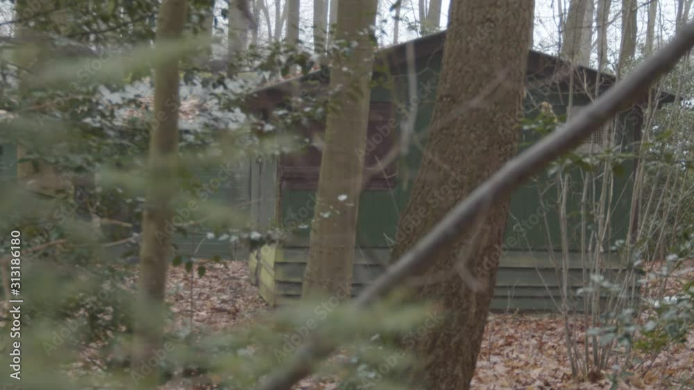 Dolly of abandoned cabins in woods seen through tree branches Dolly of abandoned cabins in woods seen through tree branches