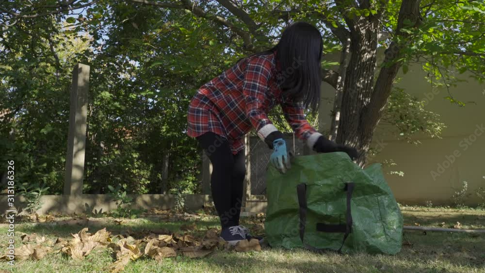 girl picking dry leaves in garden, still low angle shot girl picking dry leaves in garden, still low angle shot