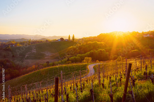 Sunset at Famous Slovenian and Austrian heart shape wine road among vineyards in Slovenia. Scenic landscape and nature near Maribor in Slovenija. Unique tourism on green hills. photo