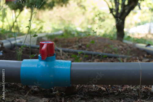 Water valve connects to PVC pipe in the garden.
