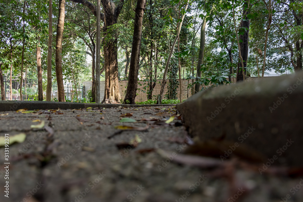 Fototapeta premium Concrete path