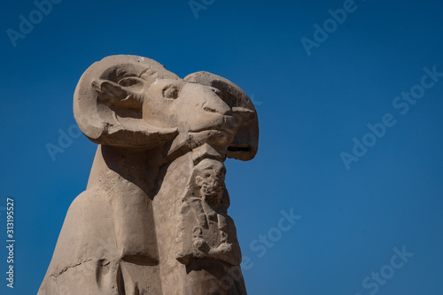 A ram head sphinx in Karnak photo