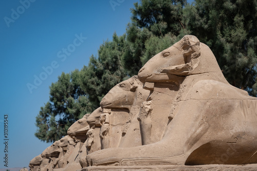 Sphinxes at the Karnak temple